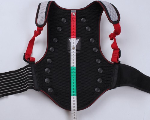 DAINESE DTEC Back Protection Motorcycle Armor Rigid Plate System Red - Picture 14 of 17