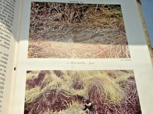 Mountains and Moorlands by W H Pearsall - First Edition Hardback 1950 - Imagen 9 de 12