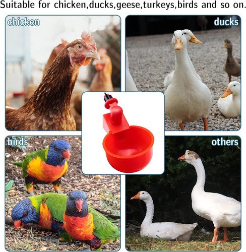 12PCS Chicken Automatic Watering Cups Drinker Waterer for Duck Quail Hen Poultry - Picture 6 of 6