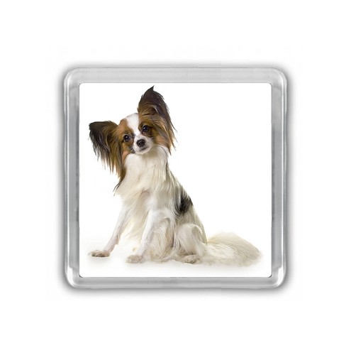 Dog Fridge Magnets Pug Staffy Beagle Chihuahua Shih Tzu Jack Russell Choose - Picture 86 of 131