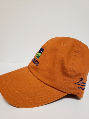 Cappello da golf Wachovia Championship berretto Wells Fargo cinturino regolabile retrò nuovo senza etichette - Foto 3 di 8