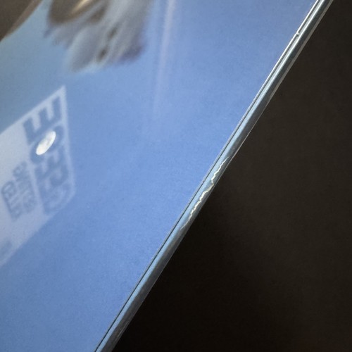 Geese Getting Killed LP Bundle Vinyl New Clear Blue Record Album W/ Signed Litho - Picture 10 of 11