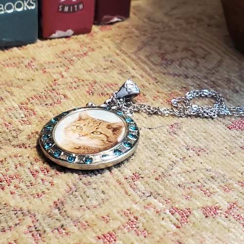 Cat Portrait Oval Pendant Necklace Silver w Blue Zirconia Frame JANUARY Engraved - Picture 21 of 24