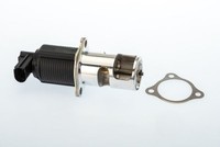 BorgWarner 710950D Agr-Ventil FüR Dacia Passend FüR Nissan Opel Renault