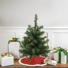 Northlight 18" LED Two-Tone Canadian Pine Artificial Christmas Tree Clear Lights