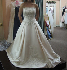 Wedding Dress size 10 - New Never Worn - Champagne