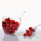 Foto 3 di 8