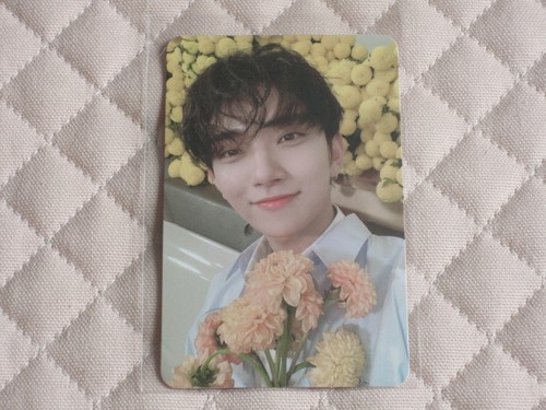 SEVENTEEN 8th Mini Album Your Choice Set de Tarjetas Fotográficas KPOP *LEER DESCRIPCIÓN*  - Imagen 32 de 70