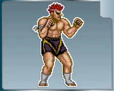 ADON Vinyl Decal #2 Car Truck Sticker Street Fighter Decal