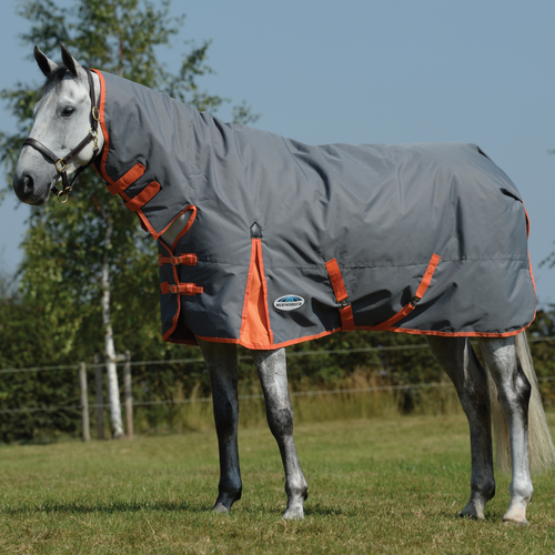 Weatherbeeta ComFiTec Classic Combo Neck Heavy Turnout Rug - Picture 29 of 29