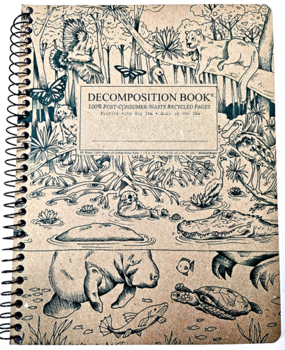 Libro decomposizione Michael Roger, 80 fogli, college governato - Foto 13 di 14