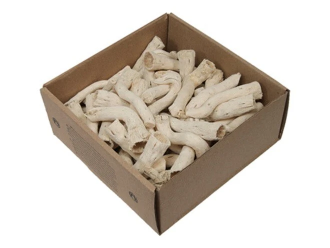 MARKENLOS 20 Stk Cap Stick Treibholz weiss o061 Driftwood 10-18cm Schwemmholz Naturdeko