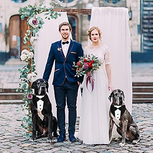 Pañuelo para perro cuello con pajarita esmoquin ropa de boda disfraz conjunto mascota ajustable - Imagen 10 de 14