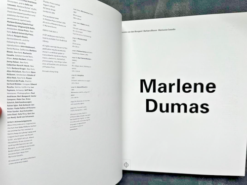 Marlene Dumas - signiert - Phaidon Contemporary Artists Series - 1. Auflage 1999 - Bild 3 von 9