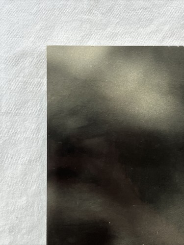 Original Jayne Kamin Photo Steve Garvey 1988 Champions - Picture 8 of 11