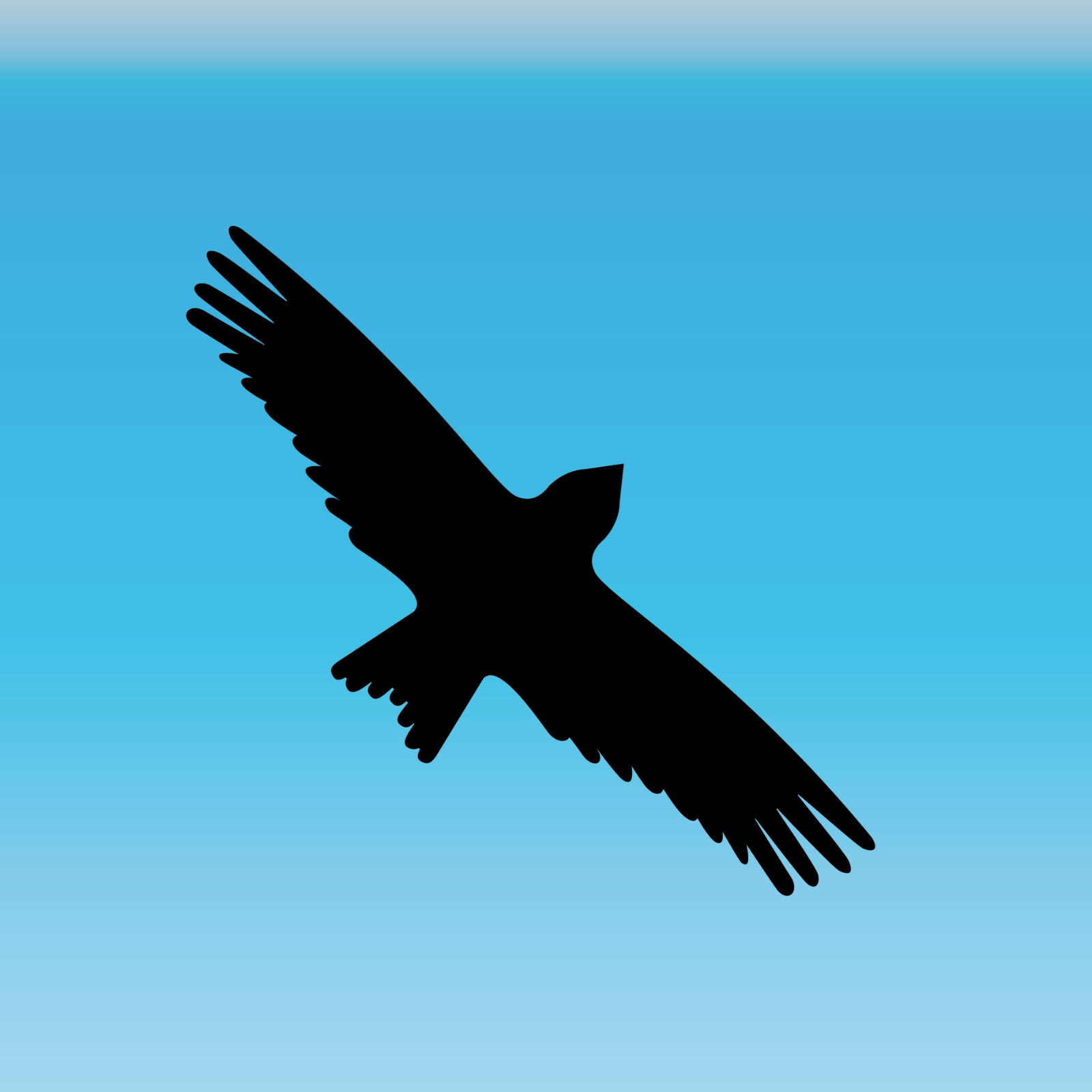 Bild 15 von 20