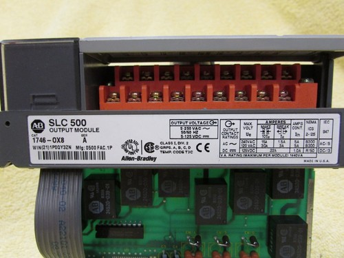 (2) Allen-Bradley SLC 500, 1746-0X8, 1746-OX8, USADO, Lote de 2, N3 - Imagen 3 de 9