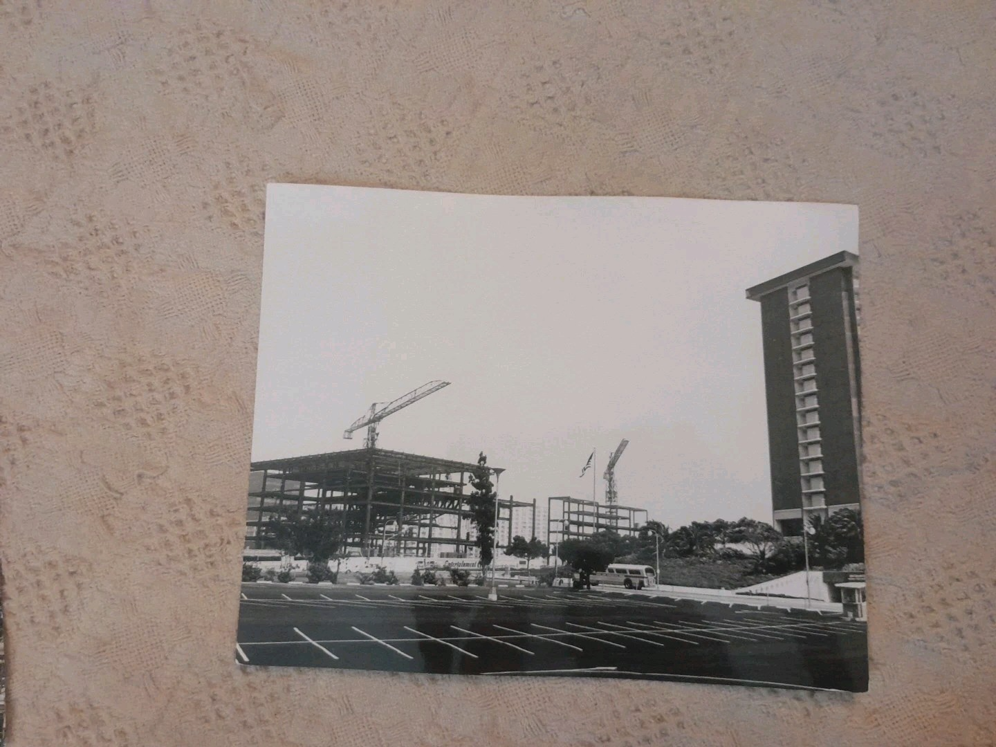 Picture 5 of 12