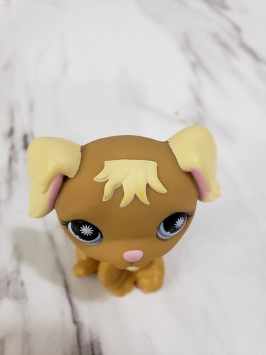 Littlest Pet Shop LPS Auténtico #951 Golden Retriever Perro Marrón Crema Ojos Azules - Imagen 2 de 5