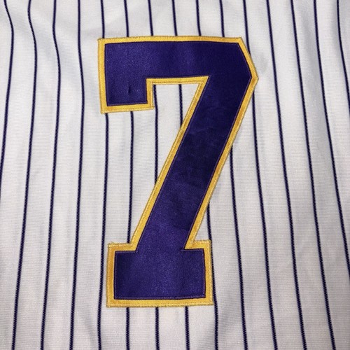 Vintage Lipscomb University Bisons Baseball Game Jersey Stitched Mens Large - Picture 5 of 8