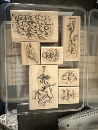 Juego de 5 estampillas de goma montadas en madera estampadas - Imagen 6 de 11