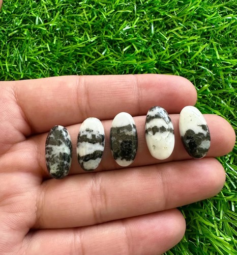 Natural White Buffalo Turquoise 10x20MM Oval Cabochon 5Pc Lot For Loose Gemstone - Picture 6 of 9