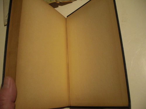 LOT 2 Vintage 1920 Four Little Blossoms Winter Fun/Oak Hill School Hardcover +DJ - Picture 22 of 24