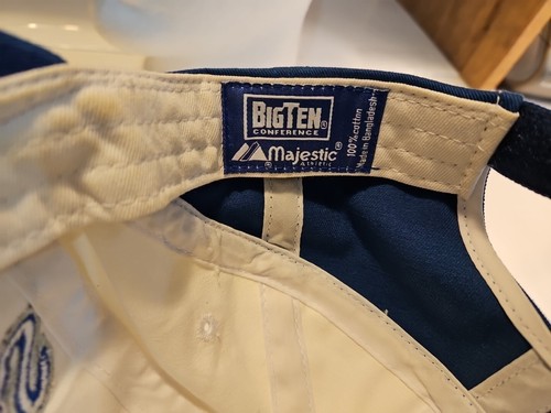 Penn State Nittany Lions 2008 Big Ten Champions College Football Hat Cap Logo - Picture 6 of 8