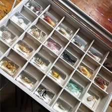 24 Pcs Marine Tropical Fish in Resin Collection Paperweights Specimen Resin lot