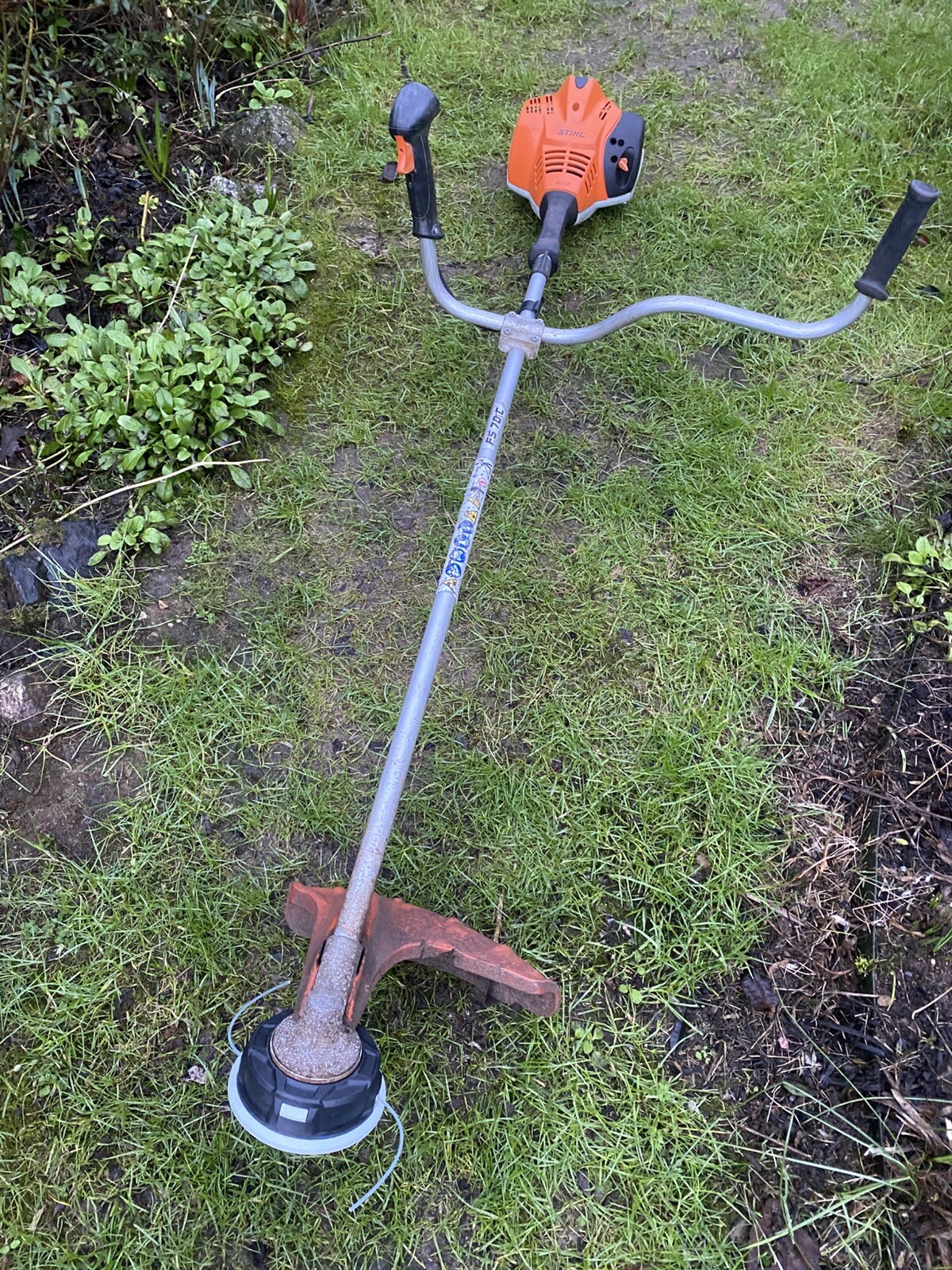 Picture 5 of 7
