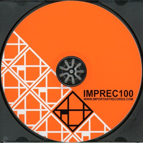 Various / A User's Guide To The First 100 Important Records Releases / CD / US - Picture 3 of 3