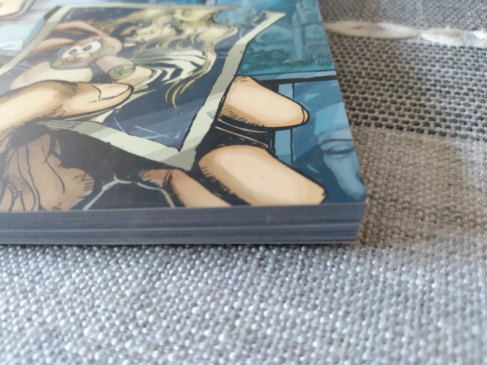 Novela gráfica The Safest Place 2008 Image SC PRIMERA IMPRESIÓN Foto 2 de 4