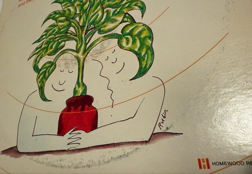 Mort Garson Mother Earth’s Plantasia LP With Booklet H-101 1976 Record Tested! - Foto 5 di 15