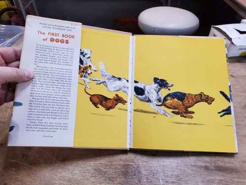THE FIRST BOOK OF DOGS by Gladys Taber, Pictures by Bob Kuhn, 1949 9th HCDJ - Imagen 8 de 16