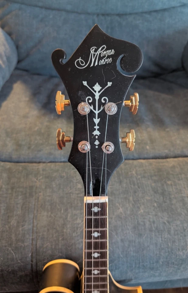 4 STRING ACOUSTIC/ELECTRIC JAZZ MANDOLIN / LUTHIER DESIGNED /FREE SHIPPING NOW - Image 4 of 4