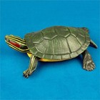  Toy Animals Toys for Kids Simulation Model Desktop Furnishing Articles
