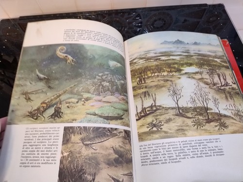 QUANDO L'UOMO NON C'ERA ( Ediz. italiana 1974) LIBRO - Imagen 6 de 6