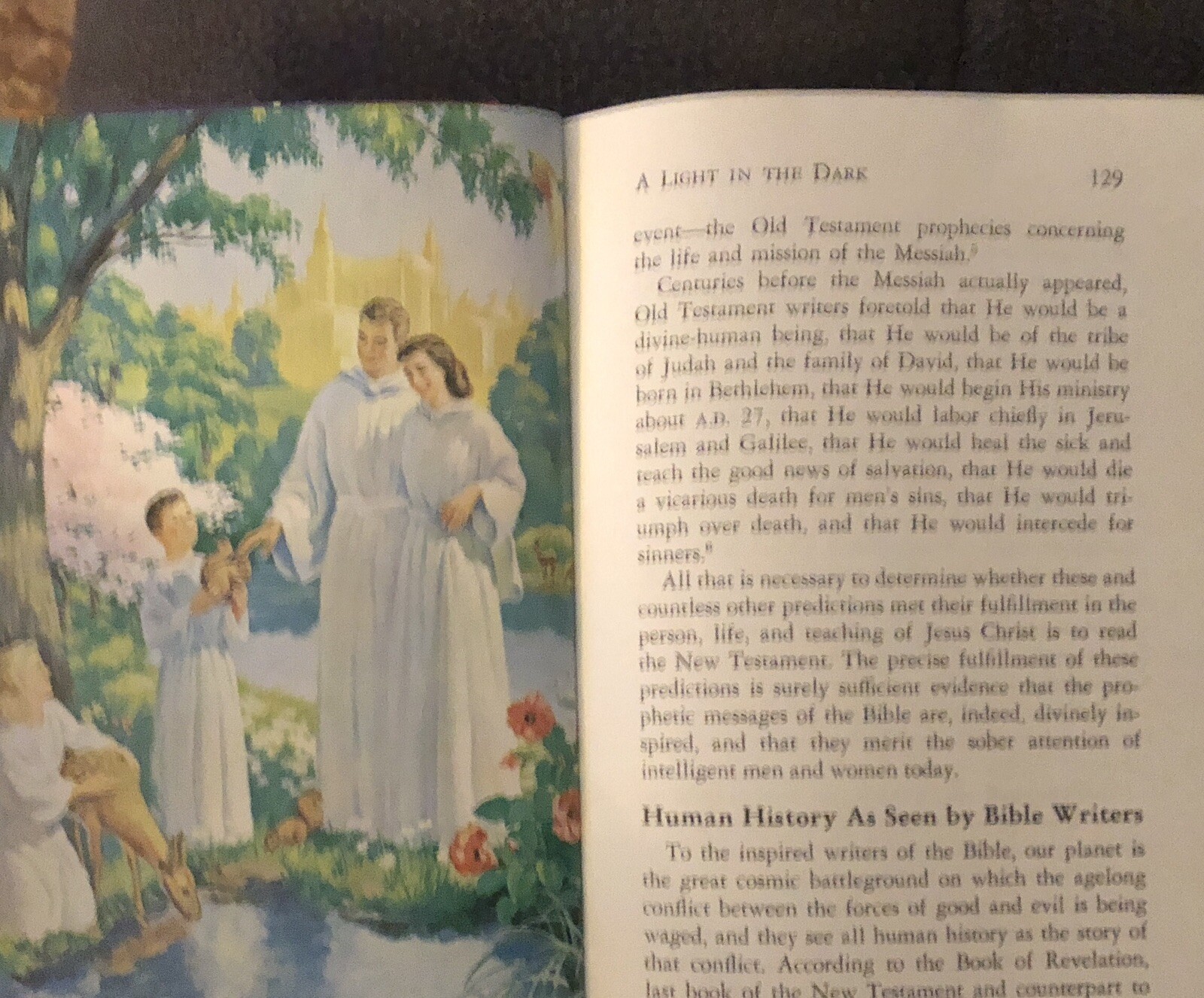 Picture 21 of 21