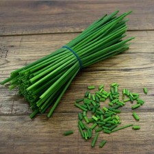 Chive Seeds,  Chive Herb Seeds 