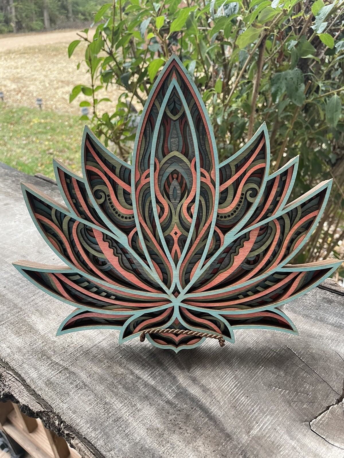 Picture 1 of 22