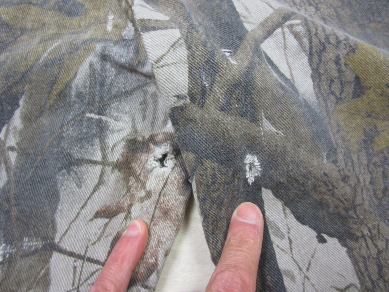 Foto 10 di 14