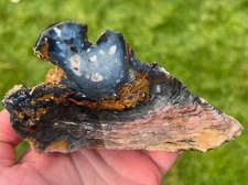 Hubbard Basin Petrified Wood Polished Specimen 496gm (R10)