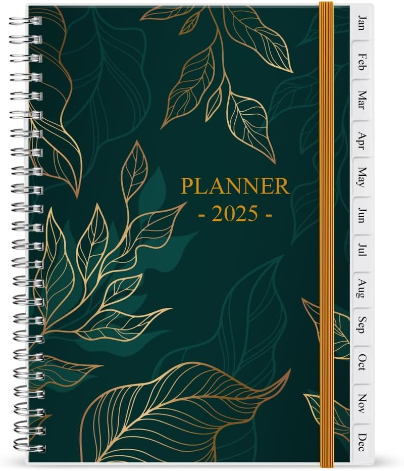 2025 Weekly & Monthly Planner - January 2025 to December 2025, 2025 Planner & Or