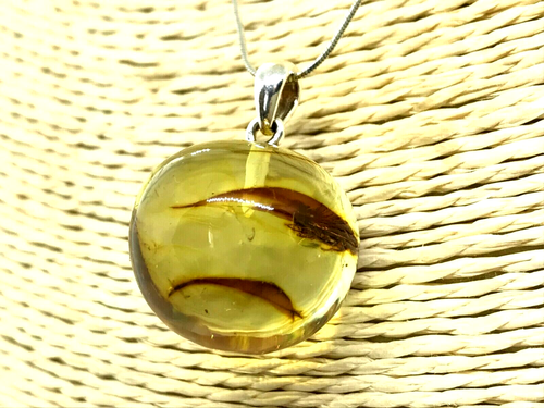 AMBER PENDANT With Insect Round Oval Bead Fossil Insects Ladies 4,6g 11418 - Picture 2 of 12