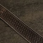 Picture 4 of 6