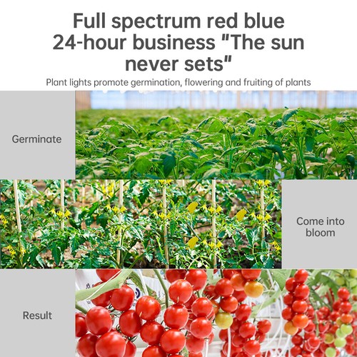 Grow  for Indoor Plants 240 LEDs Full Spectrum Red Blue  4 E1Z7 - Bild 4 von 10