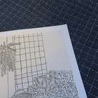 Picture 4 of 7