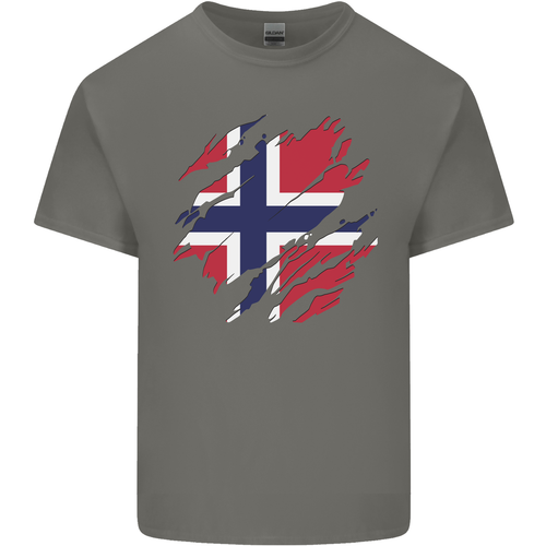 T-Shirt Bambini Bandiera Norvegia Strappata Giornata Norvegese Calcio - Foto 7 di 25