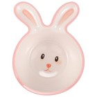  Easter Bunny Shaped Fruit Bowl Dessert Bowl for Kids for Serving Snacks and