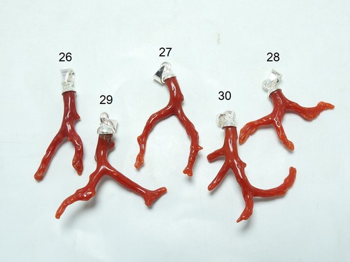 Colgante de plata de ley 925 con palo pulido en bruto natural de coral rojo - Imagen 6 de 60